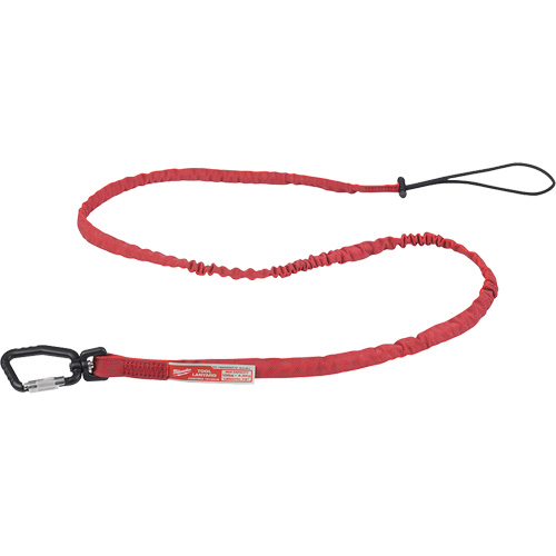 Extended Reach Locking Tool Lanyard, Bungee, Carabiner/Loop Auto-Cam