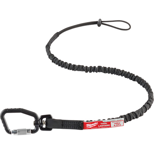Locking Tool Lanyard, Bungee, Carabiner/Loop Auto-Cam