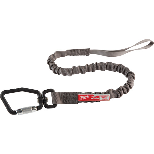 Locking Tool Lanyard, Bungee, Carabiner/Loop Auto-Cam
