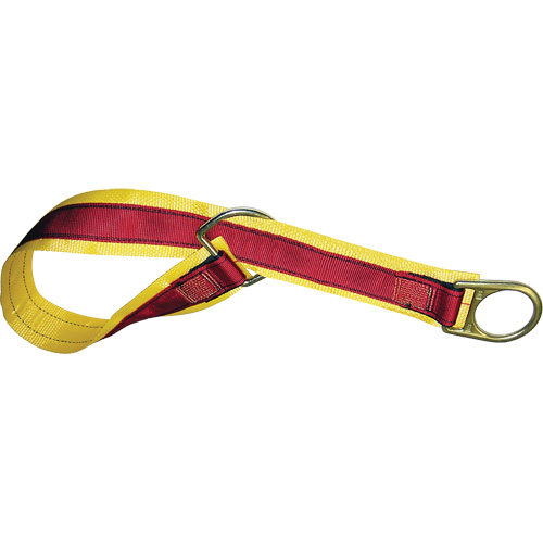 4' Anchorage Connector Strap, D-Ring, Temporary Use Auto-Cam
