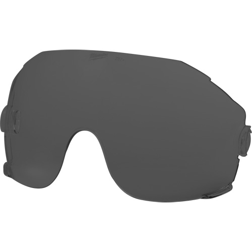 Eye Visor Replacement Lenses, Grey/Smoke Tint Auto-Cam