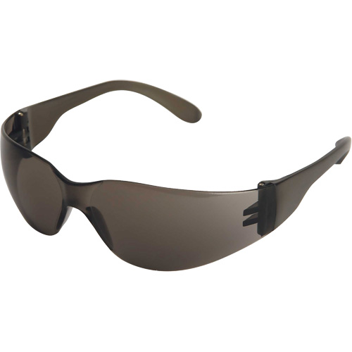 X300 Safety Glasses, Smoke Lens, Anti-Scratch, ANSI Z87+/Meets/Exceeds CSA Z94.3 Auto-Cam