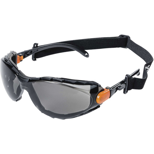 XPS502 Sealed Safety Glasses, Indoor/Outdoor Lens, Anti-Scratch Auto-Cam