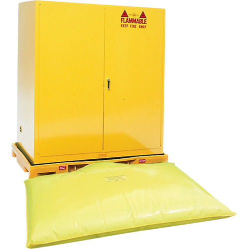 Double Drum Ultra-Safety Cabinet Bladder System, 63" lo x 38,5" la x 6,3" h, Capacit&eacute; de charge 3000 lb Auto-Cam