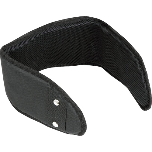 WB-6006 Padded Lumbar Support for Belt - Universal Auto-Cam