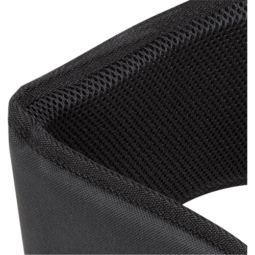 WB-6006 Padded Lumbar Support for Belt - Universal Auto-Cam