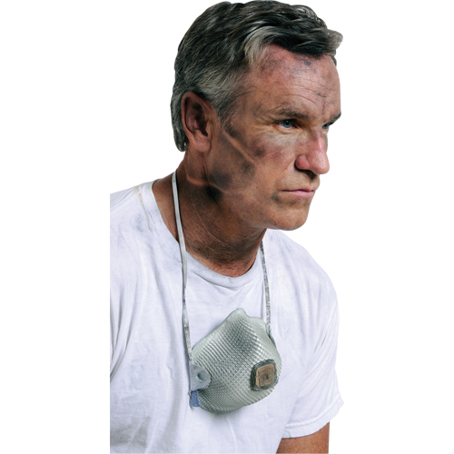 Respirateurs  contre les particules 2700, N95, Certifi&eacute; NIOSH, Grand/Moyen Auto-Cam