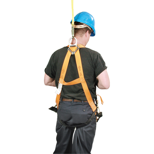 Miller&reg; Titan Contractor's Harnesses, CSA Certified, Class AP, 400 lbs. Cap. Auto-Cam