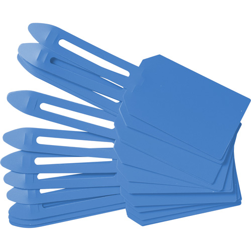 Blank Plastic Lock-On Tags, Plastic, 3-1/4" W x 5-4/5" H, Blank Auto-Cam