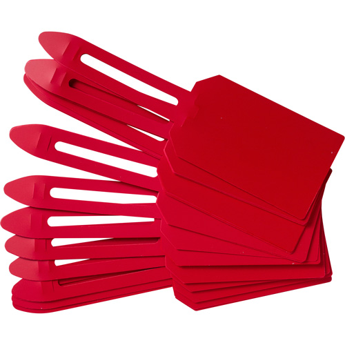 Blank Plastic Lock-On Tags, Plastic, 3-1/4" W x 5-4/5" H, Blank Auto-Cam