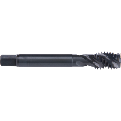45° Spiral Flute Tap, High Speed Cobalt, 1/4"-20 Thread, 2-1/2" L Auto-Cam