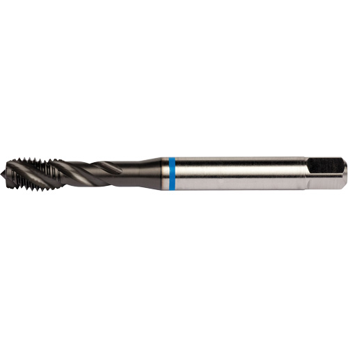 Blue Shark Spiral Flute Tap, High Speed Cobalt, 1/4"-28 Thread, 3.15" L Auto-Cam