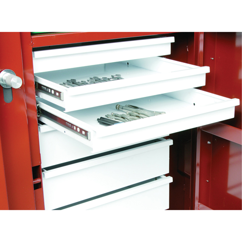 Rolling Work Bench, 49-7/8" W x 40-5/8" H x 26-7/8" D, 24.6 Cubic Feet Capacity Auto-Cam