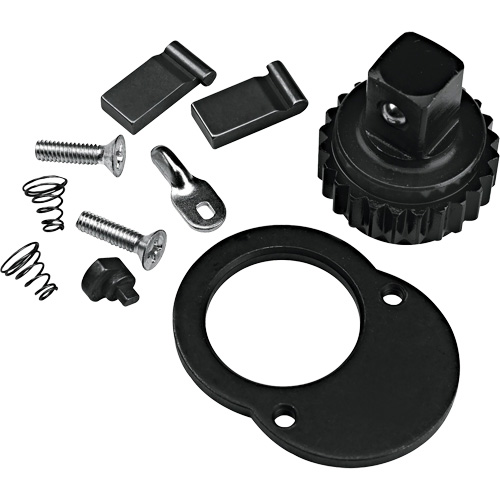 Ratchet Repair Kit Auto-Cam