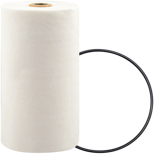 P7247 Filtre pour liquide de refroidissement &agrave; visser avec additif BTE Auto-Cam