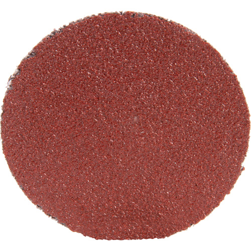 Roloc Disc 361F, 1-1/2" Dia., P100 Grit, Aluminum Oxide Auto-Cam