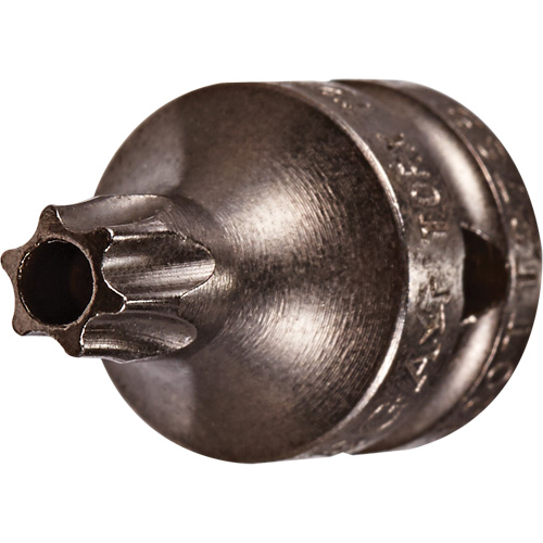 Embout &agrave; ins&eacute;rer, Torx inviolable, 8 x 3/4" lo, Prise 1/4" Auto-Cam