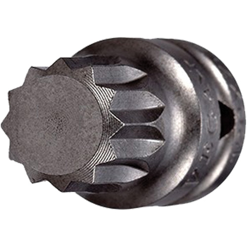 Embout &agrave; ins&eacute;rer, Triple carr&eacute;, 5 x 3/4" lo, Prise 1/4" Auto-Cam