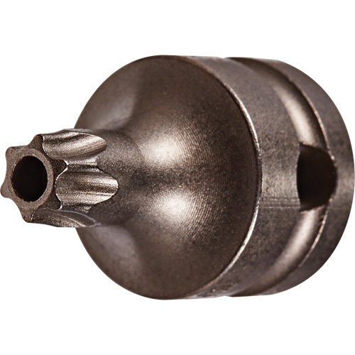 Embout &agrave; ins&eacute;rer, Torx inviolable, 25 x 1" lo, Prise 3/8" Auto-Cam