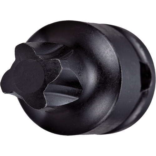 Embout &agrave; ins&eacute;rer, Mortorq Super, 4 x 1-1/4" lo, Prise 3/8" Auto-Cam