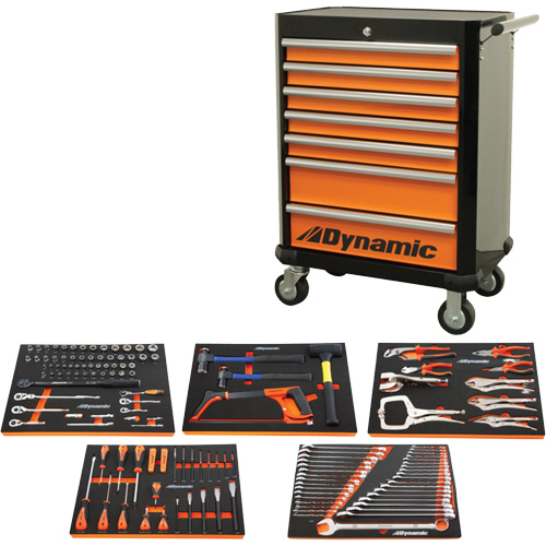 Auto Mechanic Set with Rolling Cabinet, 125 Pieces Auto-Cam