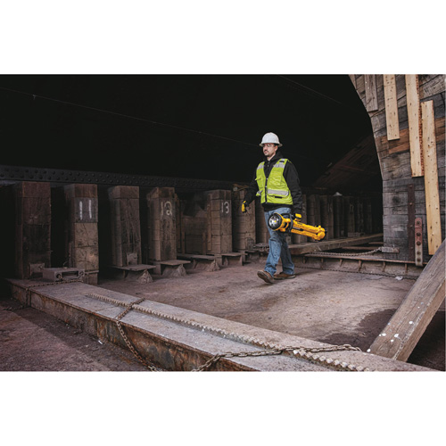 20V Max Cordless Tripod Light, LED, 3000 Lumens, Plastic Housing Auto-Cam