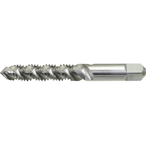 Taraud &agrave; main &agrave; cannelure spiral&eacute;e DRILLCO, Acier rapide, Filet 1/4"-20 Auto-Cam