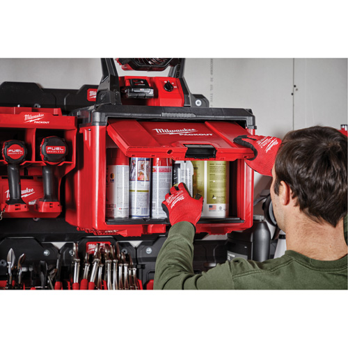 Packout Tool Cabinet, 15" x 15" x 20", Black/Red Auto-Cam