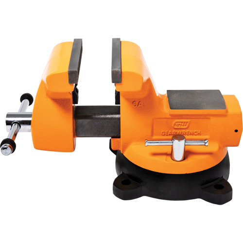 Mechanic's Bench Vise with Anvil, 6" Jaw Width Auto-Cam