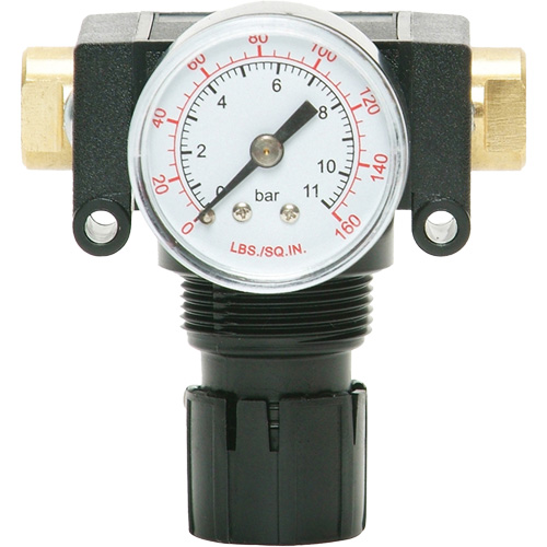 MODULAIR 200 Acetal Piston Regulator, 1/4" NPT, 150 PSI Max. PSI, In Line/Modular Auto-Cam