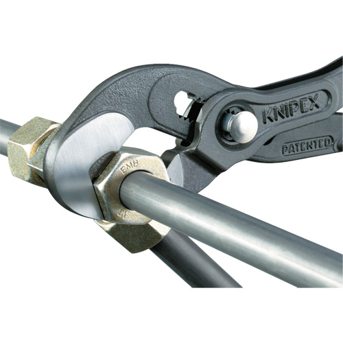 Pince Raptor, 10" Auto-Cam