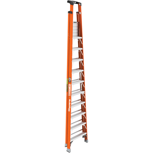 Escabeau avec plateforme Safespace, 10', Cap. De 300 lb Auto-Cam