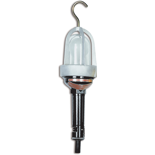 Baladeuses pour emplacements dangereux, DEL, 20 W, 2400 Lumens Auto-Cam