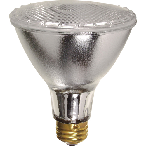 Gammes de lampes &eacute;conomiques Auto-Cam