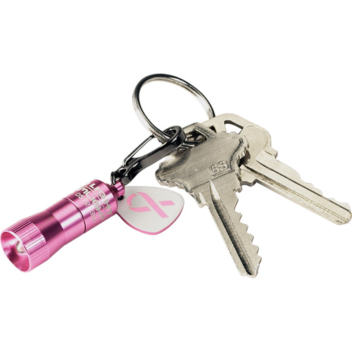 Lampes de poche Nano Light Auto-Cam