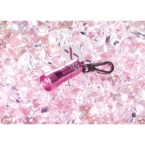 Lampes de poche Nano Light Auto-Cam