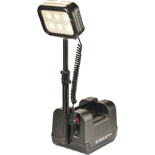 9430 Remote Area Lighting Systems, LED, 3000 Lumens, Plastic Housing Auto-Cam