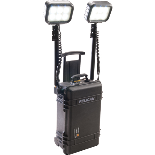 9460 Remote Area Lighting Systems, LED, 12,000 Lumens, Plastic Housing Auto-Cam