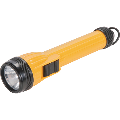 Lampe de poche AFL100, DEL, 28 lumens, Piles AA Auto-Cam
