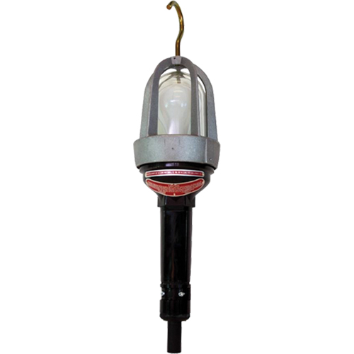 Baladeuses pour emplacements dangereux, DEL, 20 W, 2400 Lumens Auto-Cam
