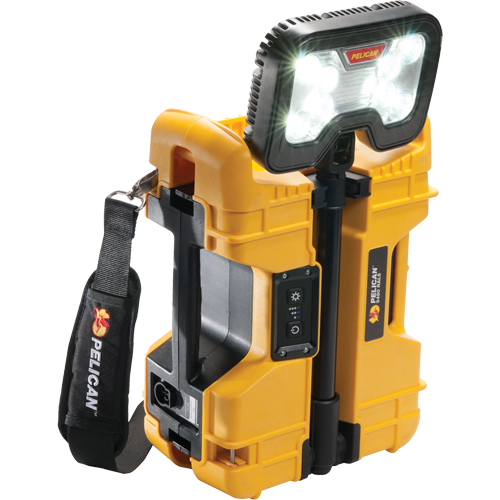 9480 Remote Area Lighting Systems, LED, 41.1 W, 4000 Lumens, Plastic Housing Auto-Cam