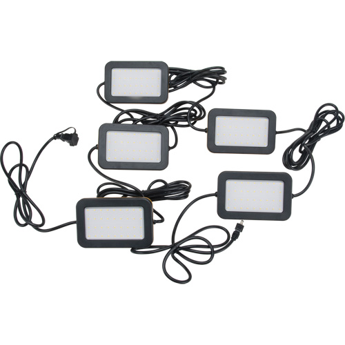 Chaîne de baladeuses DEL, 5 Lumi&egrave;res, 50' lo, Boîtier en Plastique Auto-Cam