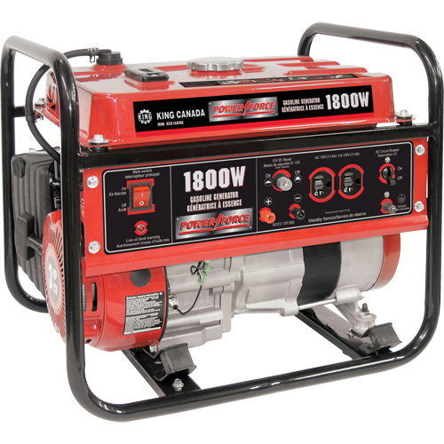 Gasoline Generator, 1800 W Surge, 1400 W Rated, 120 V, 7 L Tank Auto-Cam