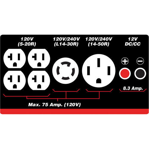 Gasoline/Propane Generator with Electric Start Auto-Cam
