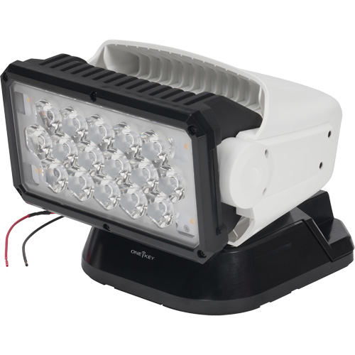 Projecteur orientable polyvalent &agrave; t&eacute;l&eacute;commande, DEL, 4250 lumens Auto-Cam