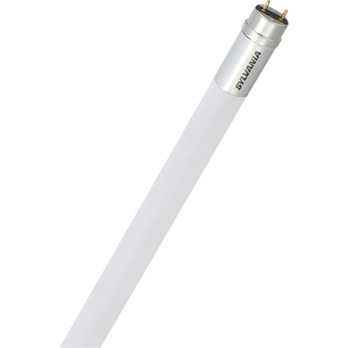 Ampoule d'&eacute;clairage DEL SubstiTube Value, 15 W, 5000 K, 48" l Auto-Cam