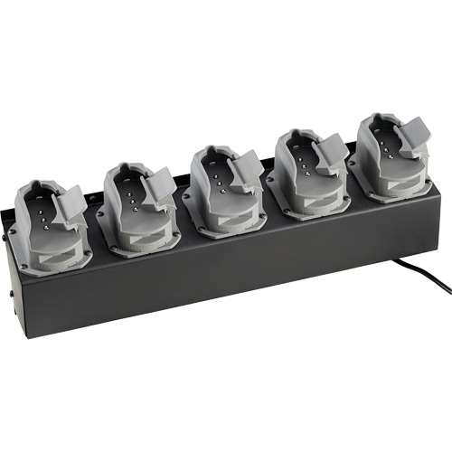 Chargeur de batteries de lampe de poche Survivor X Auto-Cam