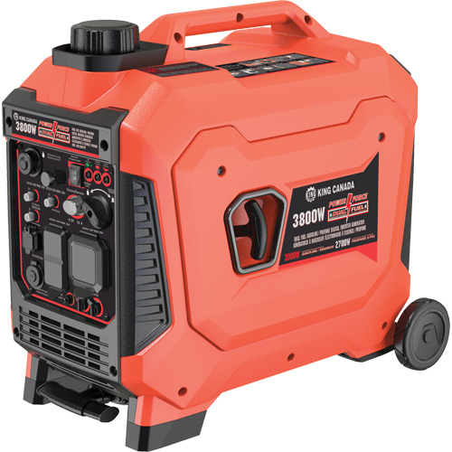 Dual Fuel Gasoline & Propane Digital Inverter Generator Auto-Cam