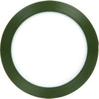 Polyester Tape, Polyester, 25.4 mm (1") W x 66 m (216') L, 1.9 mils Thick Auto-Cam