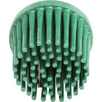 Disques bristle Roloc, Grain 120, 1" dia. Auto-Cam